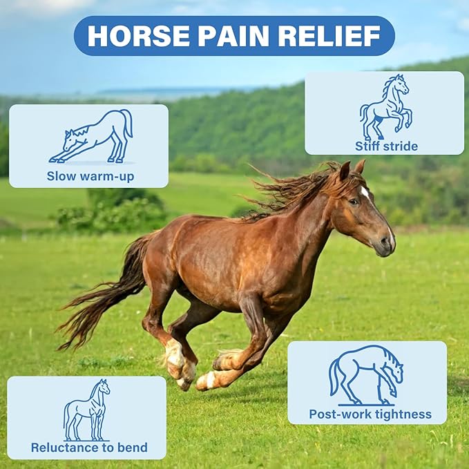 Joint Equine Supplement - Support for Joint Integrity and Inflammatory Response in Horses - Green-Lipped Mussel, MSM, Glucosamine 120 chew