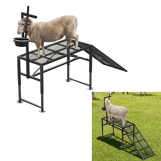 Height Adjustable Metal Goat Milking Stand with a Ramp- 600LBS Livestock Trimming Stand with Feed Bin- Goat Stand Ramp Use for Lambs Goats for Sheep Trimming