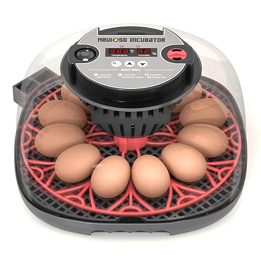 12-24 Egg Incubator with Humidity Display, Egg Candler, Automatic Egg Turner, for Hatching Chickens Duck Quail Parrot