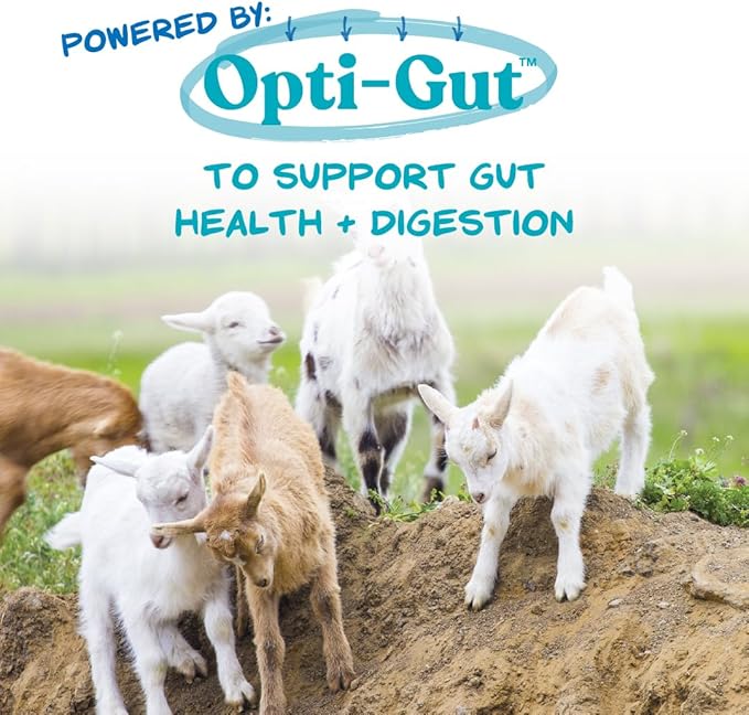 Manna Pro Goat Kid Milk Replacer - High in Protein to Support Growth - Powered by Opti-Gut™ to Support Gut Health & Digestion - Easy-To-Mix Formula - 8 Pounds
