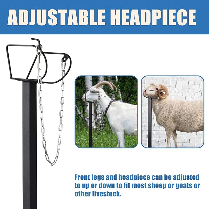Goat Milking Stand 600Lbs Goat Stand Sheep Stand for Trimming Metal Livestock Stand with Adjustable Headpiece Goat Shearing Livestock Stand Height Adjustable, Black