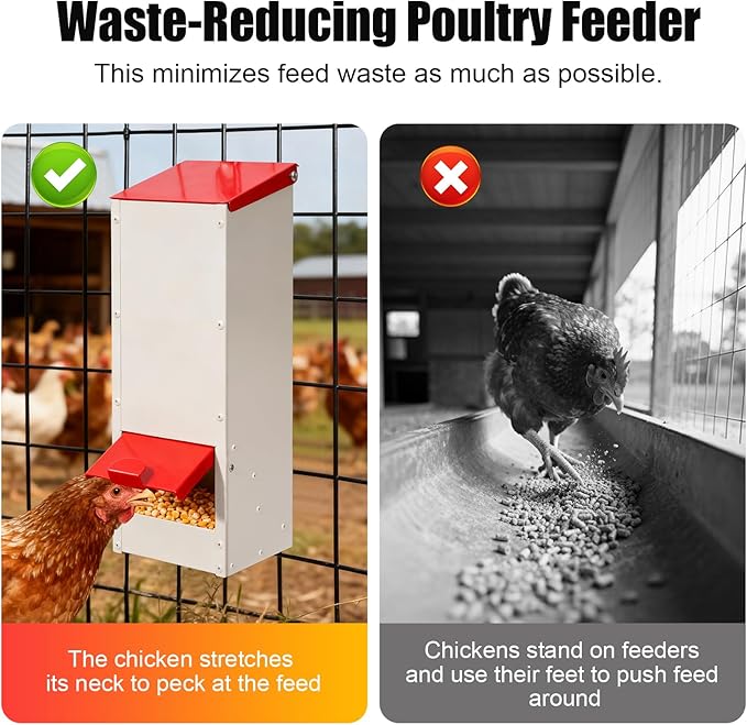 Metal Chicken Feeder No Waste Oyster Shell Feeder 8lbs Hanging Poultry Feeder Automatic Gravity Chicken Food Dispenser with a Lockable Rain Cover