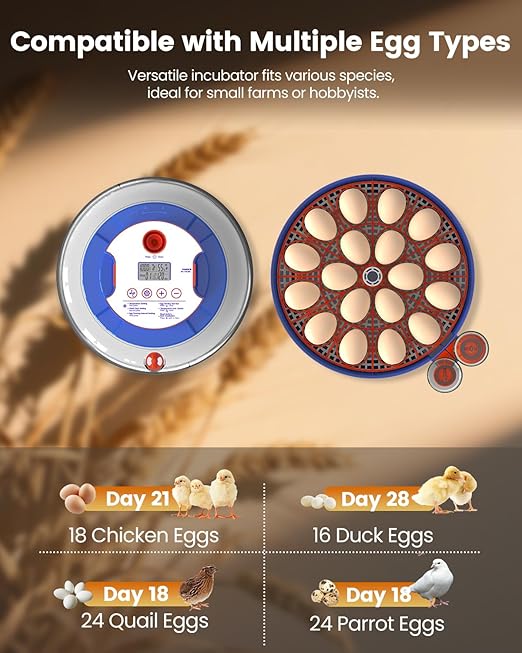 Incubators for Hatching Eggs, 18 Eggs Incubators with Egg Candler, Automatic Egg Turner, Temperature & Humidity Control, Full Viewing for Chicken, Duck, Quail, Goose, Parrot and Pigeon