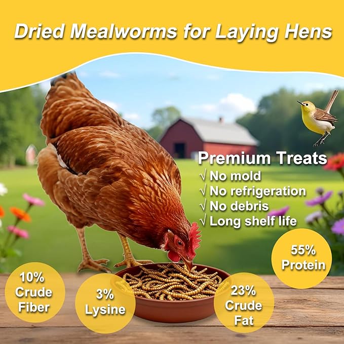 RANZ 2LBS Non-GMO Dried Mealworms for Chickens, High Protein Meal Worms, Premium Chicken Feed, Whole Large Mealworms for Blue Birds, Ducks, Fish