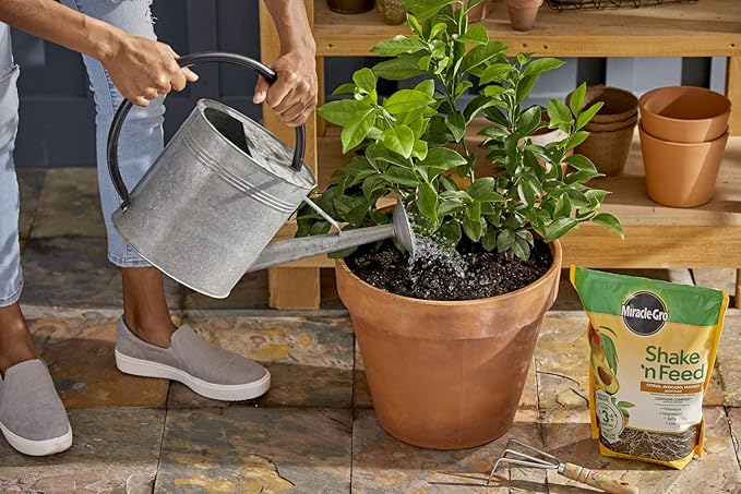Miracle-Gro Shake 'n Feed Citrus, Avocado and Mango Plant Food 8 lbs.