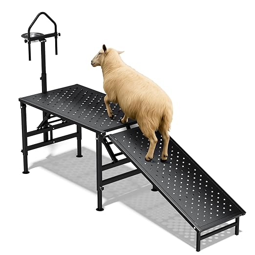 Goat Milking Stand with a Ramp, Metal Goat Stand with Feed Bin, 600LBS Livestock Trimming Stand with Height Adjustable, Sturdy Sheep Stand for Goats and Lambs, Black.