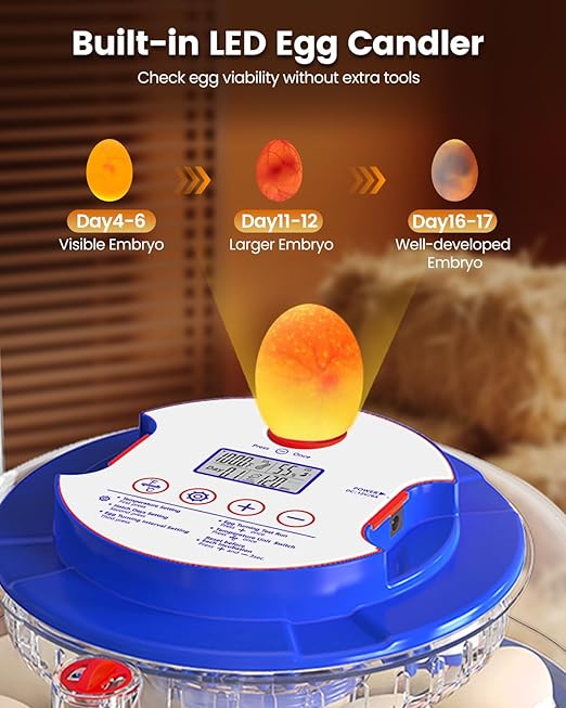 Incubators for Hatching Eggs, 18 Eggs Incubators with Egg Candler, Automatic Egg Turner, Temperature & Humidity Control, Full Viewing for Chicken, Duck, Quail, Goose, Parrot and Pigeon