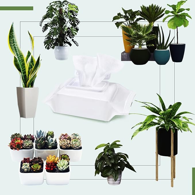 Plants Cleaning Wipes for Leaf Shine, Clean and Photosynthesis, Leaf Cleaner for House Plants Outdoor Plants (80 Wipes)