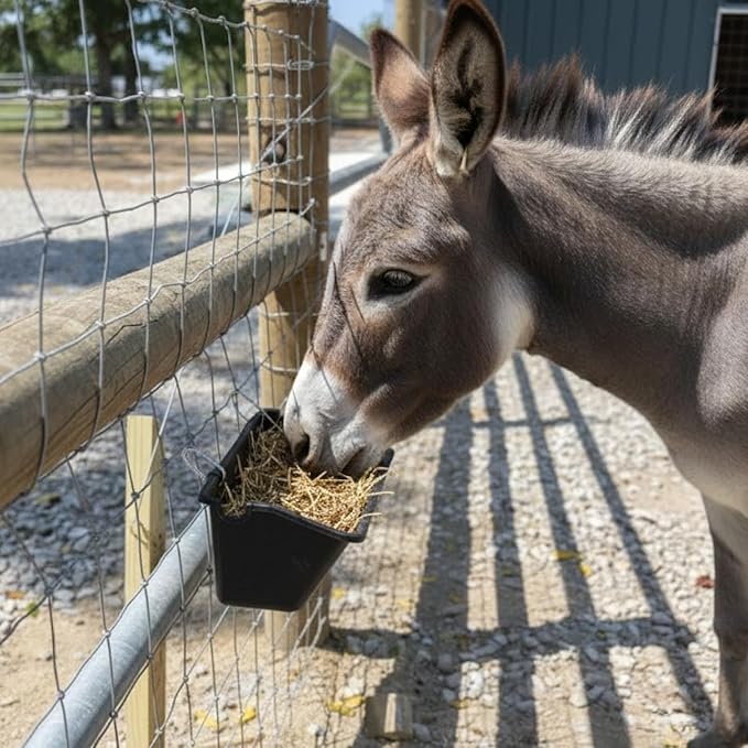 6 Pack Hanging Goat Feeder & Duck Feed Trough, 5 Qt Fence Mounted Livestock Manger – Heavy Duty Plastic Mineral Bucket & Waterer for Sheep, Piglets, Deer & Poultry.