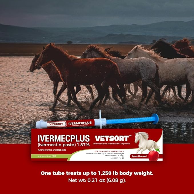 Horse Gel Paste 1.87% – 6 - Pack, 6.08g Each, Accurate Feeding for Horses up to 1,250 lbs, Boosts Growth & Energy
