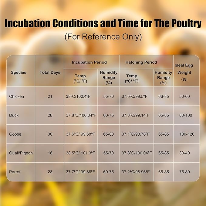 12 Egg Incubator with Temperature Control, Humidity Display, Automatic Egg Turner and Candler, Automatic Water Bottle Refill, for Hatching Chickens/Ducks/Gooses/Quail