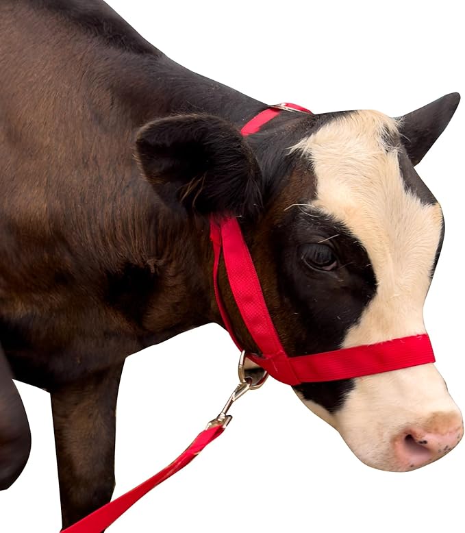 perixir Cow Halter Cattle Halters Calf Halter with Leading Rope，Adjustable Nylon Livestock Cattle Halter，for Miniature Horse Donkey Goat Foal