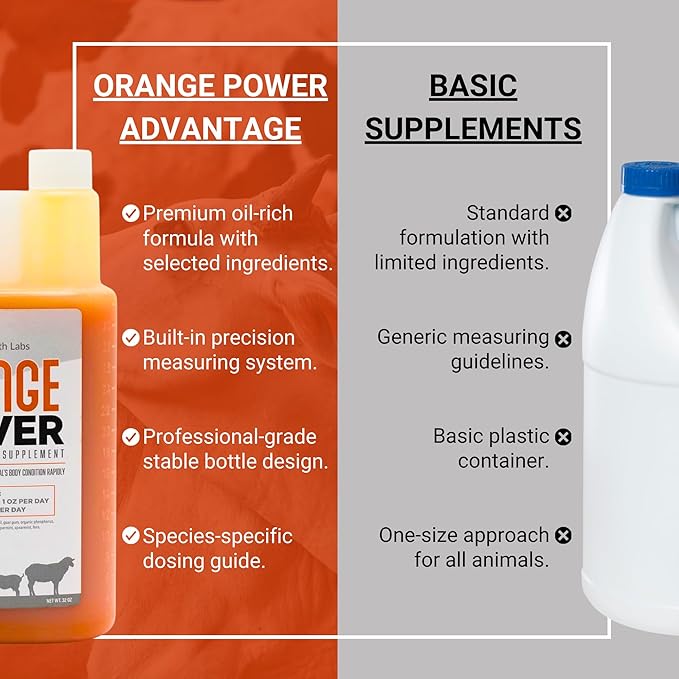 Orange Power Nutrient Supplement for Show Cattle, Sheep, Goats and Pigs - Appetite Stimulant & Performance Booster - Liquid Formula with B12 & Phosphorus (32 Fl Oz.)