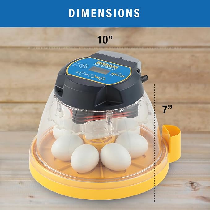 Brinsea Mini II EX Egg Incubator with Automatic Humidity Control and Egg Turning for Hatching 7 Chicken, Duck, Other Bird Eggs, Precision Digital Controls, Temperature Alarms