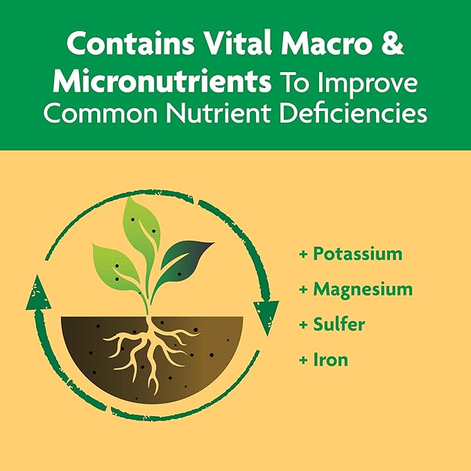 Miracle-Gro Shake 'N Feed Continuous Release Citrus, Avocado & Mango Plant Food, 4.5 lb.