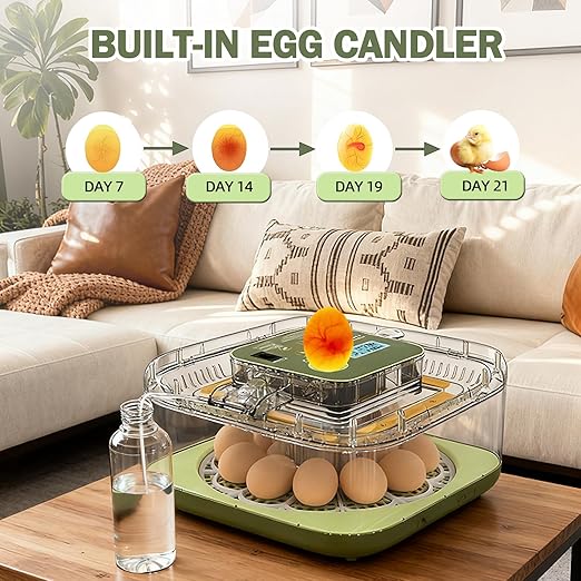 XOTTI Incubator for Hatching Egg, 12 Egg Incubators with Temperature and Humidity Control, Automatic Turner, Candler, 360° Viewing for Dry Hatch Chicken, Duck, Quail, Goose, Parrot and Pigeon