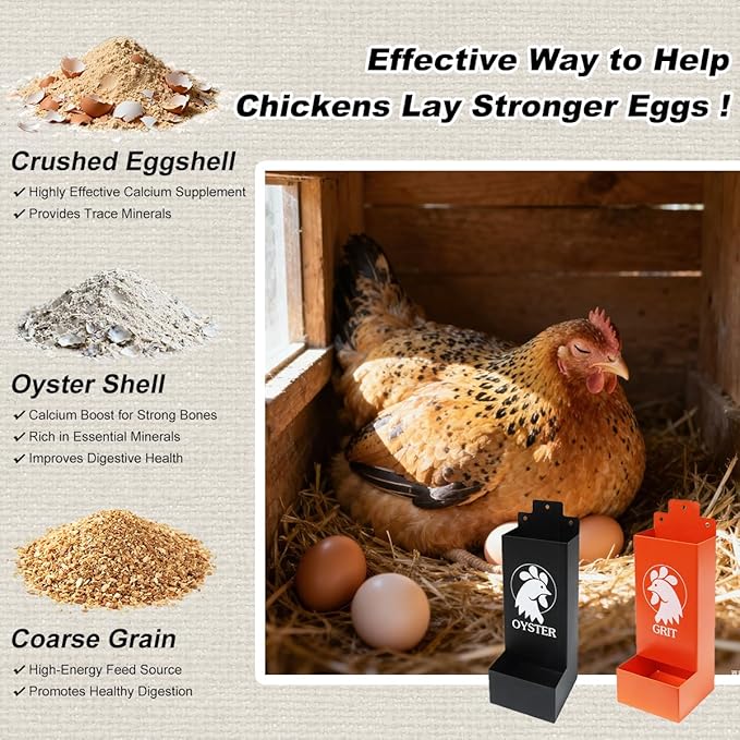 Metal Chicken Grit and Oyster Shell Feeder, Automatic Chicken Feeder - Hanging Gravity Design, Zero-Waste Spill-Proof, Chicken Coop Accessories for Healthier Hens & Eggs