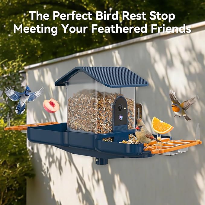 Dual-Lens Bird Feeder with Camera & Bird Bath Combo, Watch Birds Eat & Bathe with WiFi 2K HD Video, Auto Record, AI Recognition, APP Alerts, Solar Powered, for Backyard Garden Porch Fence Decor
