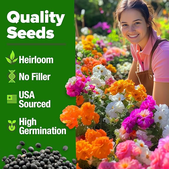HOME GROWN 47000+ Moss Rose Seeds (Bulk Pack) Annual Flower for Ground Cover - Heirloom Non-GMO Portulaca Seeds for Planting Outdoors - Great for Low-Maintenance Gardens (Portulaca grandiflora)