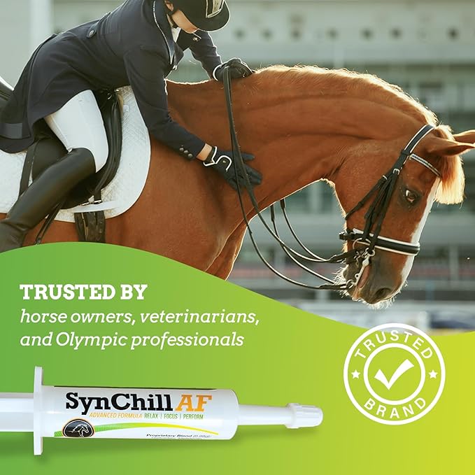 SynChill AF Behavioral Support Gel for Horses – Single Serving – Advanced L-THEANINE-Free Formula, 100% Natural Supplement, Composure, Focus & Confidence Support for Horses - 25 Pack