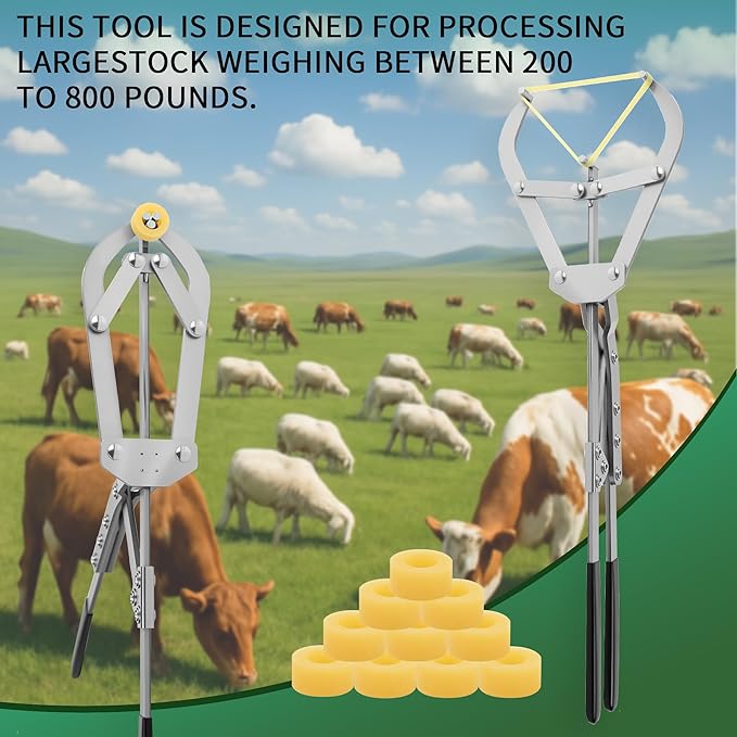 25 Elastrator Bands with Extra Large Stainless Steel Banding Tool Bander Livestock Management Fits Bull,Calves, Goats, Sheep, Easy Application