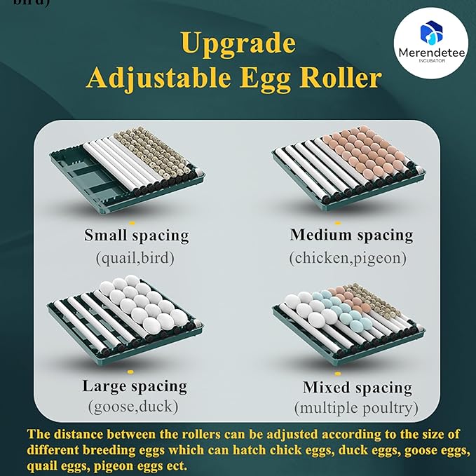 Egg Automatic Incubator 24-60 Eggs Automatic Intelligent Incubators for Hatching Eggs,Poultry Hatching Machine for Chicken Duck Goose Quail Bird Pigeon (24-GREEN1)