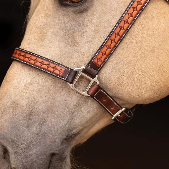 Schneiders Sunburst Ranch Western Show Halter for Horses | Hand-Tooled Leather | Semi-Custom Fit | Silver-Plated Hardware | Elegant Ranch Class Design