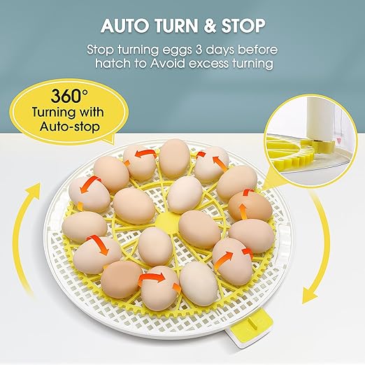 Sailnovo 18 Egg Incubator for Hatching Eggs, Chicken Egg Incubator with Automatic Egg Turning, Humidity Level Display, Egg Candler, Hatch Days & Incubator for Chicken Eggs (Yellow)