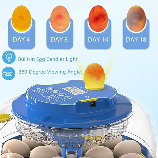 Incubators for Hatching Eggs, 18 Egg Incubator with Automatic Egg Turning and Humidity Control, 360° View Incubadora De Huevos De Gallina, Egg Candler, Incubator for Chicken Eggs, Ducks, Goose, Quail