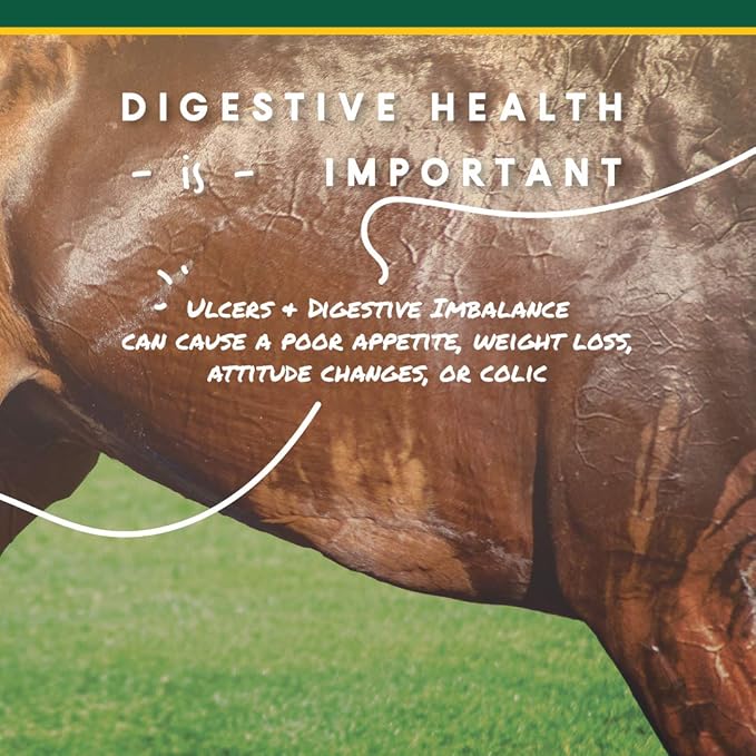 Corta-Flx U-Gard Powder, Equine Digestive Supplement to Maintain Gastric Health , Helps Prevent Ulcer Formation, Supplement for Horses, 8 LB