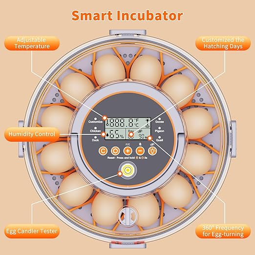 Egg Incubators for Hatching Eggs with Automatic Egg Turning and Humidity Control Intelligent Temp Eggs Candler for Chicken Quail Duck etc. Eggs, Suit for Beginner Backyard Hobbyist Students Education