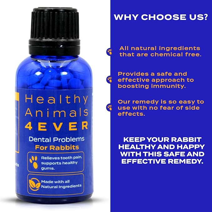 HealthyAnimals4Ever HA4E - Rabbit Dental Problems Treatment - Preventive Care for Dental Issues & Overgrown Teeth - Promotes Oral Health - Natural Homeopathic Tablets - 300 Count