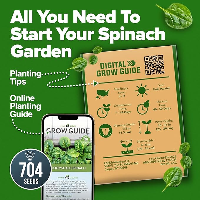 HOME GROWN Bloomsdale Spinach Seeds - 2 Bulk Packs (Spinacia oleracea) – 704 High Germination Heirloom Spinach Seeds for Planting – Leafy Green Lettuce – for Home Gardens