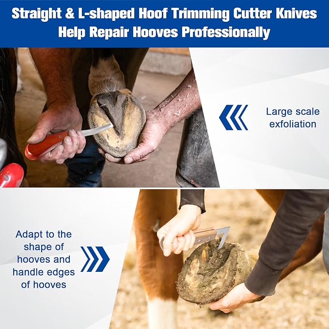 10 Inch 8 Pcs Farrier Tools, Horse Goat Hoof Trimmers for Goats and Sheep with Carbon Steel Nipper, Shears Nail Clipper, Rasp File, Hoof Trimming Cutter Knives, Horseshoe Brush, Storage Bag