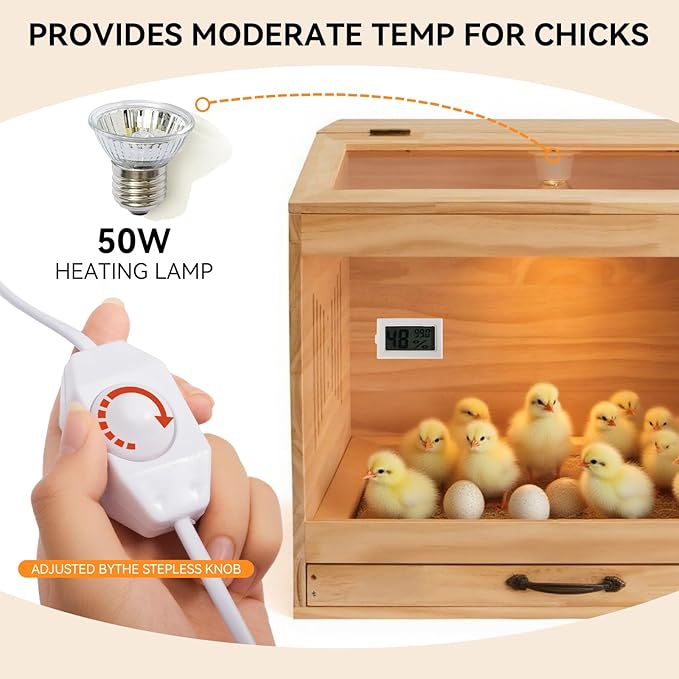 Brooder Box for Chicks with Heat Lamp Kit & Thermometer - Wooden Chicken Brooder for 12 Chicks Indoor/Outdoor - Baby Chicken Cage for Ducks, Quails, Hamsters, Lizards