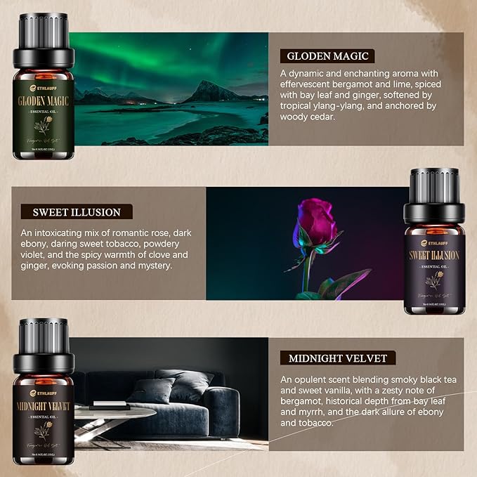 Hotel Diffuser Oils, Hotel Collection Diffuser Oil, Luxury Essential Oil Set for Diffuser, Soap & Candle Making Scents - My-Way, Dream State, Coastal Cabine, Gloden Magic, Midnight Velvet