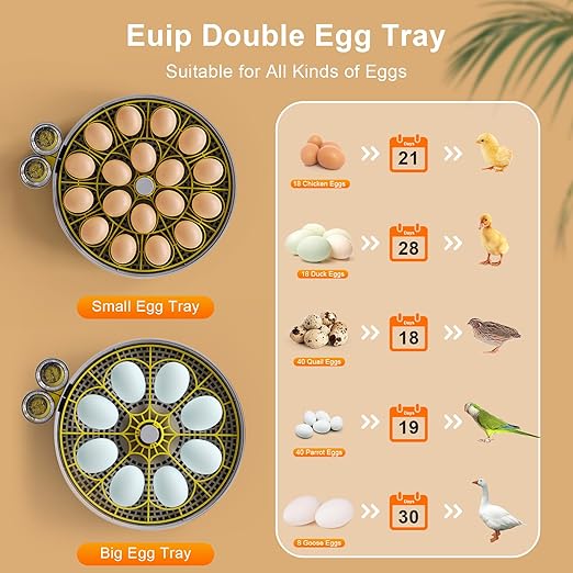 Incubator for Hatching Eggs-18 Egg Capacity, Automatic Egg Turner, Temperature & Humidity Control, 360° Viewing for Chicken, Duck and Quail Eggs
