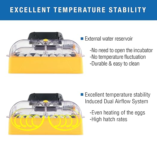Brinsea Ovation 28 EX Egg Incubator With Automatic Humidity Control and Egg Turning for Hatching 28 Chicken, Duck, Other Bird Eggs, Precision Digital Controls, Temperature Alarms