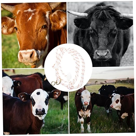 Gatuida Cattle and Sheep Management Cattle Bull Ropes Farm Livestock Training Halter Sheep Goat Halter Barn Cow Cattle Safety Halter Cattle Halter Rope Cow Turn Out Cord Cows Metal White