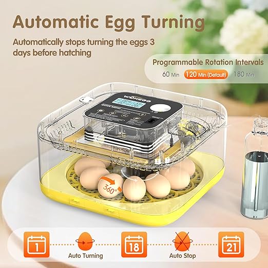 12 Egg Incubator with Automatic Turning, Temperature and Humidity Control, LED Egg Candler, and Auto Water Addition, for Hatching Chicken, Goose, Duck, Quail, Pigeon, and Turkey Eggs