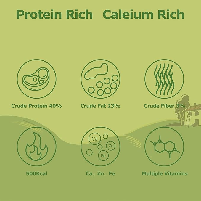 1LB Dried Black Soldier Fly Larvae, Non-GMO & Nutrient-Packed Chicken Feed, Strong Egg Production and Health, Rich in Calcium for Healthy Hens and Ducks, Better Than Dried Mealworms