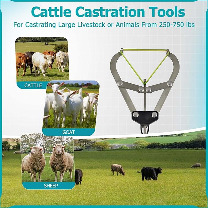 Cattle Banding Tool, Expander Plier with 24Pcs Rings, for Calves Sheep Goats Big Animal Livestock in Farm and Ranch