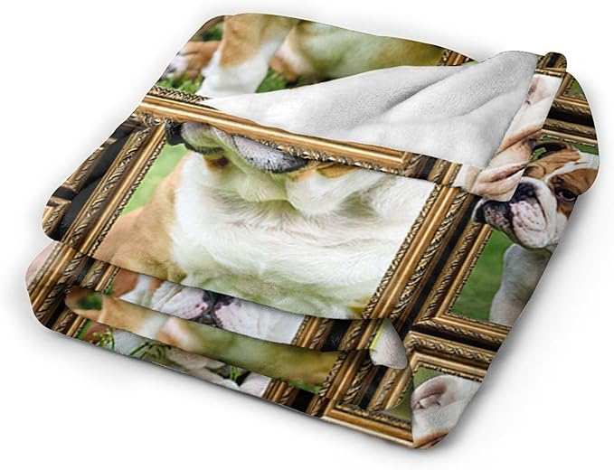 English Bulldog Blanket Gifts for Girls Boys Soft Warm Plush Dog Throw Blanket Flannel Fleece Fuzzy English Bulldogs Blanket for Kids Adults Lovers Bed Couch Living Room Decor 60"X50"