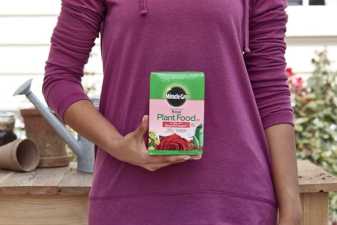 Miracle-Gro Rose Plant Food Rose Fertilizer (6 Pack), 1.5 lb