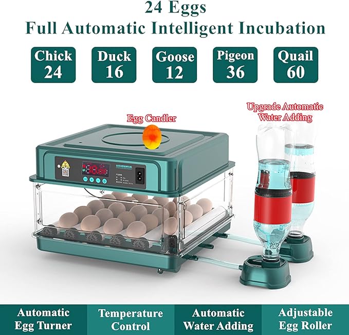 Egg Automatic Incubator 24-60 Eggs Automatic Intelligent Incubators for Hatching Eggs,Poultry Hatching Machine for Chicken Duck Goose Quail Bird Pigeon (24-GREEN1)