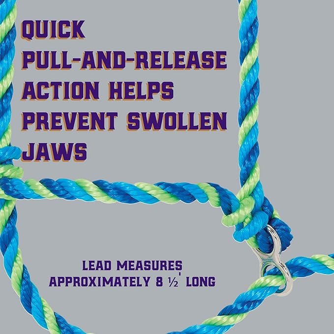 Weaver Livestock Poly Rope Breaking Cattle Halter, Adjustable Cow Calf Halter, Livestock Handling Equipment, Blue/Hurricane Blue/Lime Zest