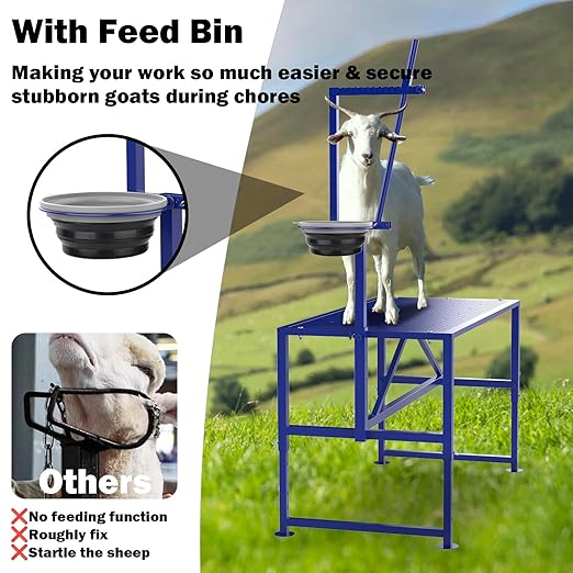 Goat Milking Stand with Feeder, Goat Stand for Trimming Hooves, with Adjustable Head Piece and Legs, Metal Blue Use for Livestock, Large Size 600 Lbs