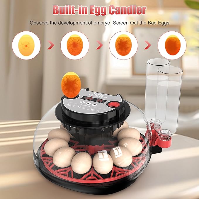 12 Egg Incubator with Temperature Control, Humidity Display, Automatic Egg Turner and Candler, Automatic Water Bottle Refill, for Hatching Chickens/Ducks/Gooses/Quail