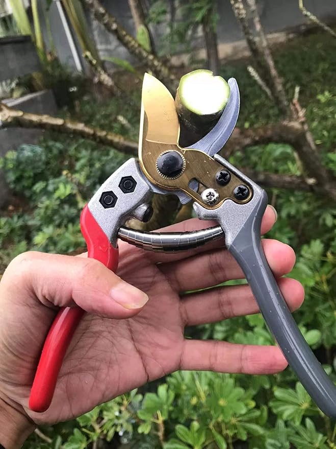 Garden Shears, Japanese labor-saving Garden Scissors, Pruning Shears and Garden Secateurs for Woman and arthritis weak, Professional Branch scissors(Red-grey)