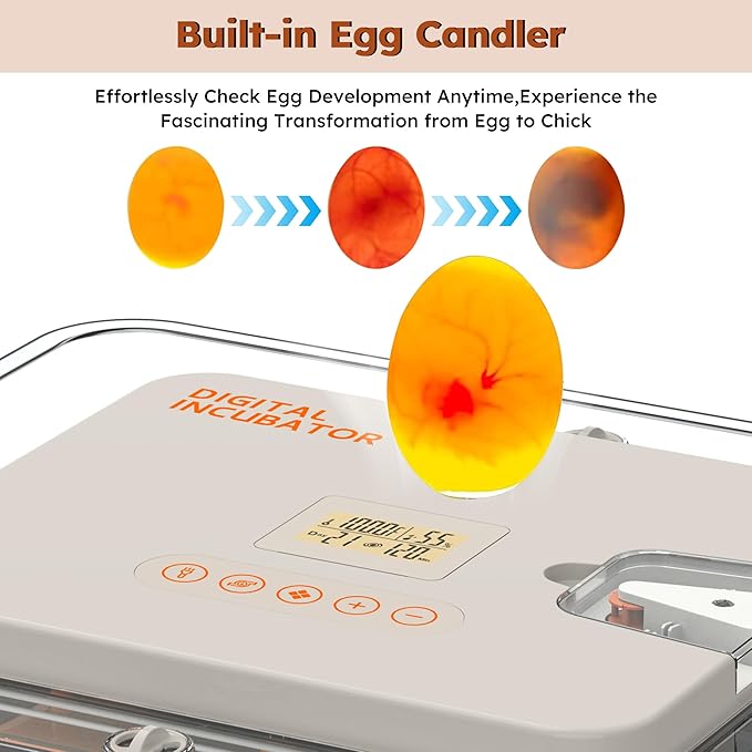 Egg Incubator for Hatching 56 Chicken, Duck, Quail & Goose Eggs – Automatic Egg Turner, Humidity & Temperature Control, Built-in LED Candler, Auto Water Refill, 360° Clear View Digital Poultry Hatcher